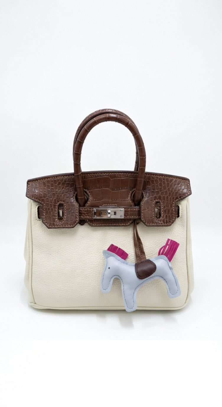 ba-399 Classic Luxury Handbag