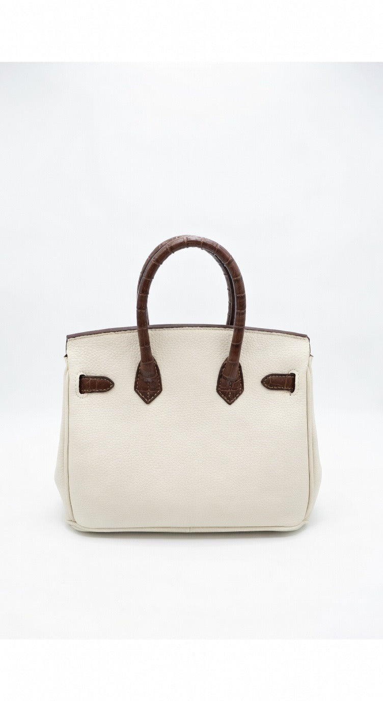ba-399 Classic Luxury Handbag