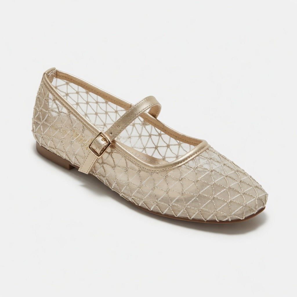 Silver Mesh Elegance Flats B-47
